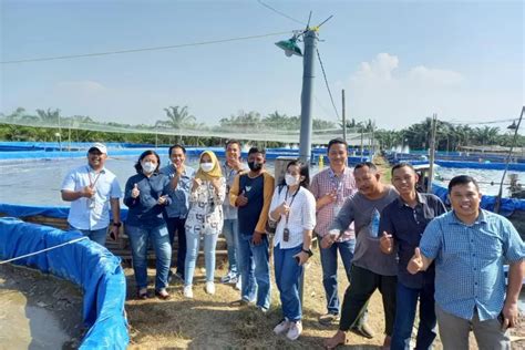 Rekomendasi Homestay Di Objek Wisata Desa Wisata Mangrove Tanjung