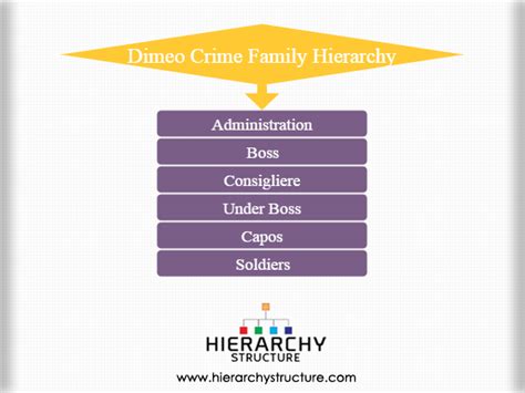 Dimeo Crime Family Hierarchy