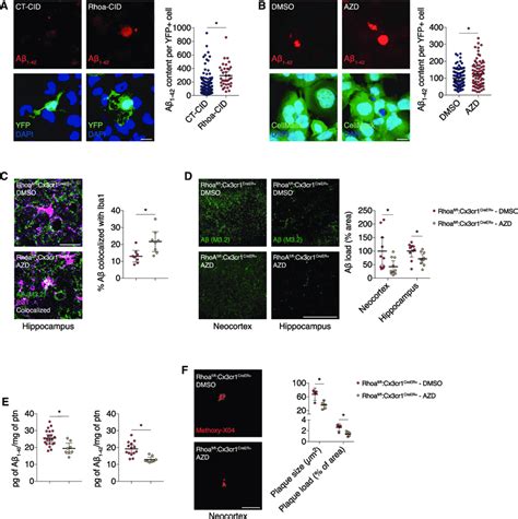 Src Inhibition Mitigates The Amyloid Like Pathology Elicited By The