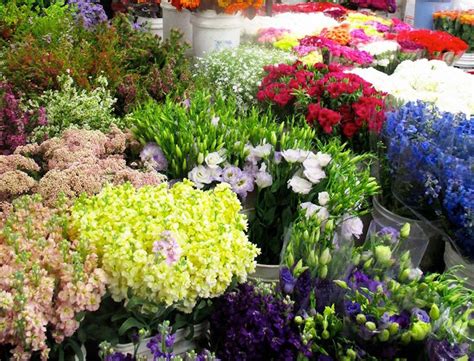 The Original Los Angeles Flower Market Hours | Best Flower Site