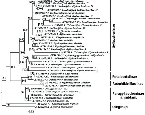 Bayesian Inference Phylogram Representing The Genetic Relationships