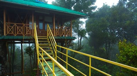 Dreamcatcher Resort Munnar Treehouse Honeymoon