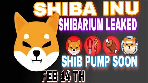 Shiba Inu Coin News Today🚀shibarium Release Date Leak🔥shibarium L2 Bone