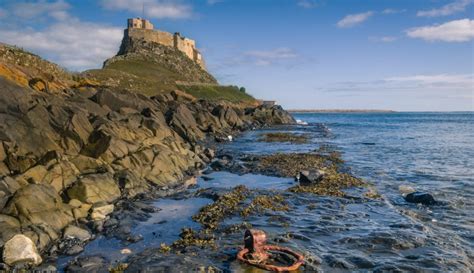 UK creates three new 'highly protected' marine nature reserves in England | Natural History Museum