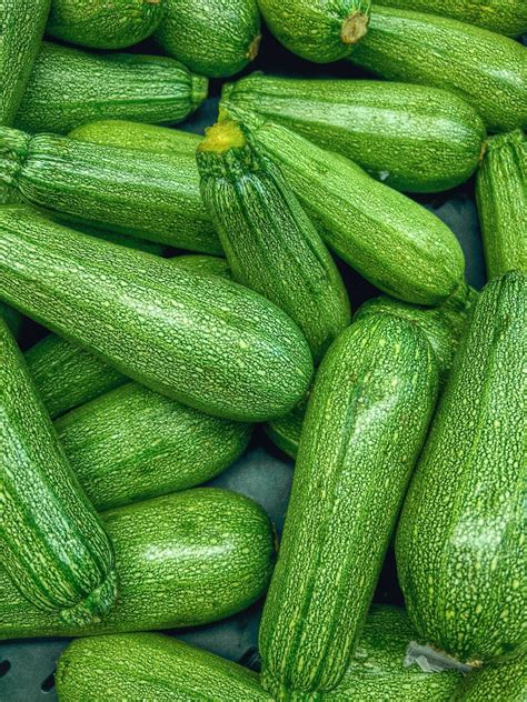 Growing And Maintaining Zucchinis Tips And Techniques For A Bountiful