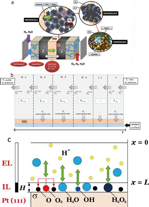 A Schematics Of Our General Multiscale Modeling Framework B