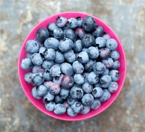 Images Of Blueberries
