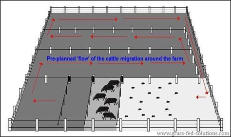 Planning Your Portable Electric Fences The Smart Electric Fence Grid