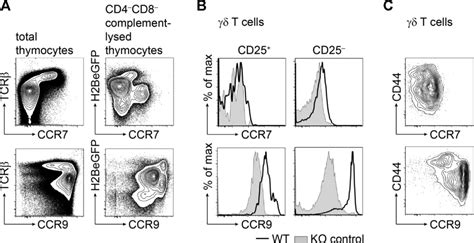 Ccr Mediated Migration In The Thymus Controls Tcell Development