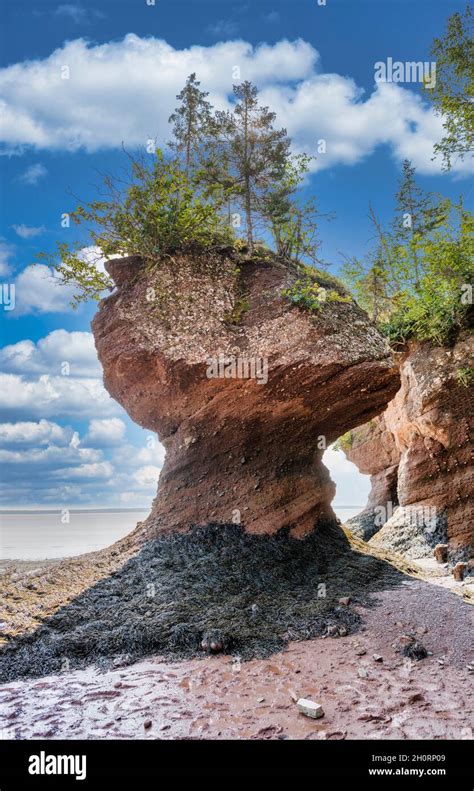 The rocks provincial park Banque de photographies et dimages à haute