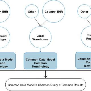 data model  common results  scientific diagram