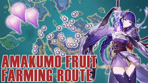 AMAKUMO FRUIT FARMING ROUTE Lvl90 Raiden Shogun Ascension Material