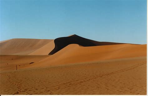 Desert - Color Sorting