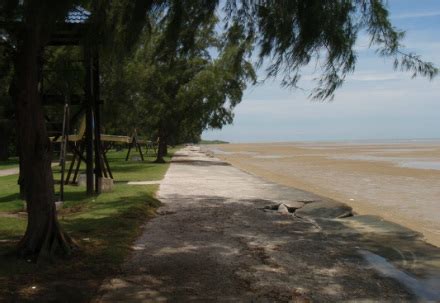 Pantai Morib - Sustainable Management - Pantai Morib