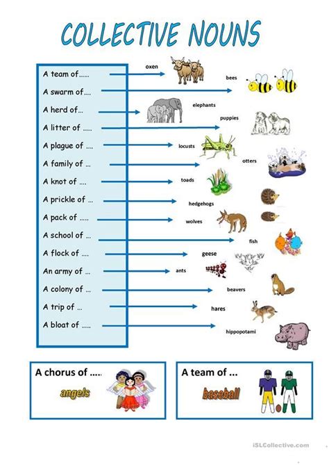 Collective Noun Activity Grade 4