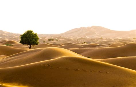 Desert Png Transparent Background Images