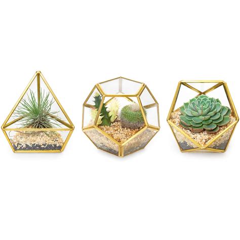 Buy Mkono Packs Mini Glass Geometric Terrarium Container Modern Op Er