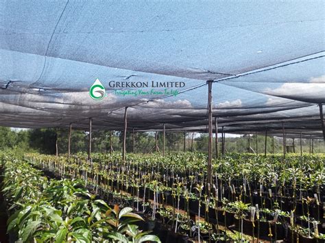 Shade Nets In Kenya 0711 895 635 Grekkon Limited