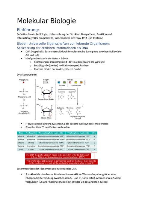 Molekular Biologie Zusammenfassung Molecular Biology And Genetics