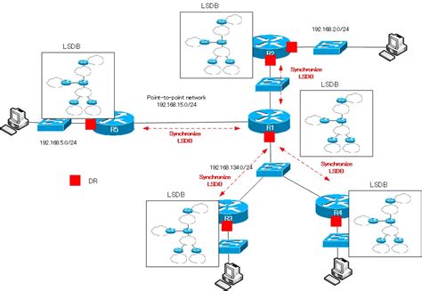 Ospf Dr Bdr How The Ospf Works N Study