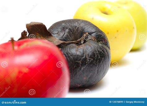 Rotten Apple At The Row Of Fresh Apples Stock Image Image Of Rotten