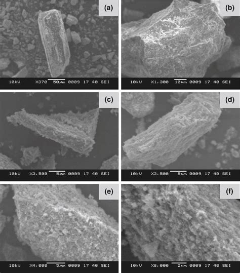 Sem Images Showing Various Morphological And Textural Features A Download Scientific Diagram