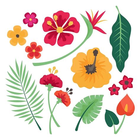 Colecci N De Flores Y Hojas Tropicales Vector Gratis