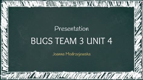 Bugs Team Unit