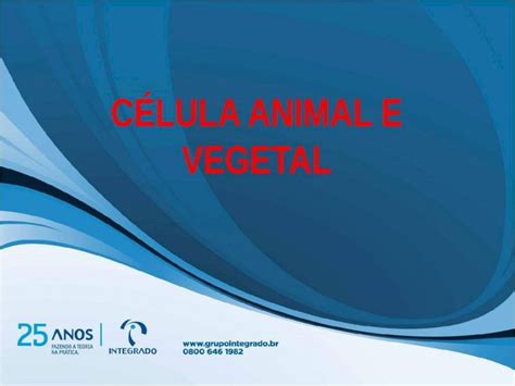 PPT CÉLULA ANIMAL E VEGETAL PADRÃO DOS SERES VIVOS A célula é