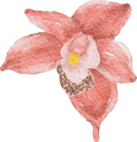 Aquarell Kaktus Saftig Und Orchidee Blume Elemente Clip Art 21183138 PNG