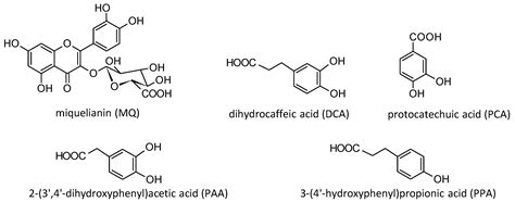 Antioxidants Free Full Text The Effects Of Prunus Spinosa L Flower