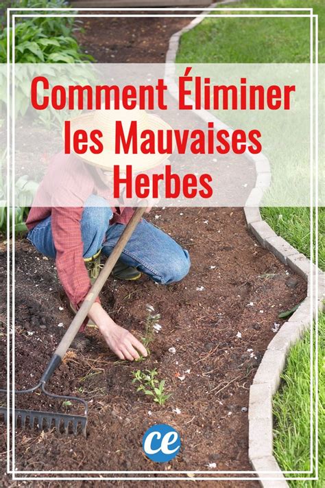 Comment Éliminer les Mauvaises Herbes Entre Les Dalles SANS EFFORT en