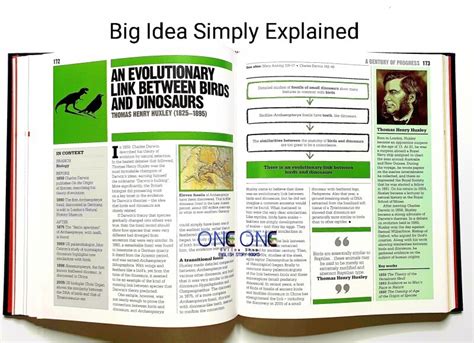 big ideas simply explained