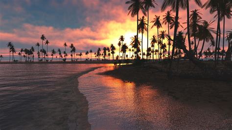 Palm Tree Sunset Wallpaper 70 Images