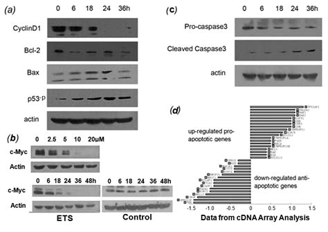 Laptm4b Targeting As Potential Therapy For Hepatocellular Carcinoma