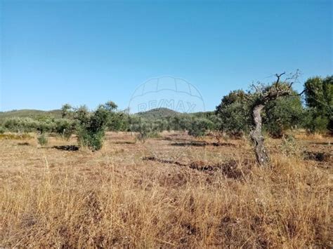 Terreno à venda N233 Vale da Senhora da Póvoa Penamacor idealista