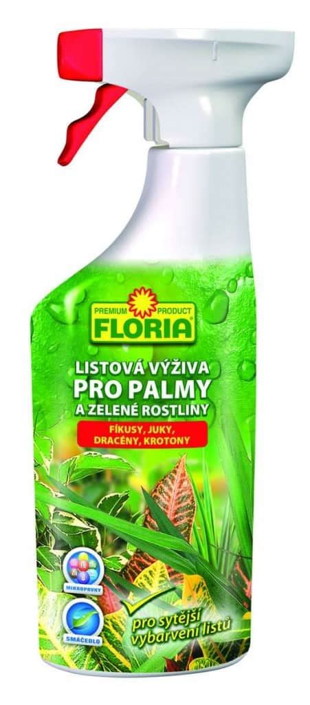 Floria Listov V Iva Na Zelen Rastliny A Palmy Ml Z Hradk Rsky