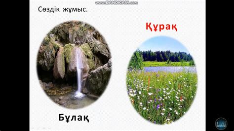 3-сынып. Қазақ тілі. Негізгі және туынды сын есім. 2-бөлім - YouTube