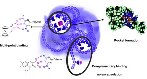 Schematic Representation Of Supramolecular Recognition Of Download