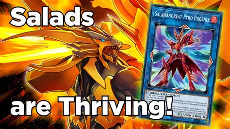 Master Rank Salamangreat Deck Showcase Combos Decklist Yu Gi