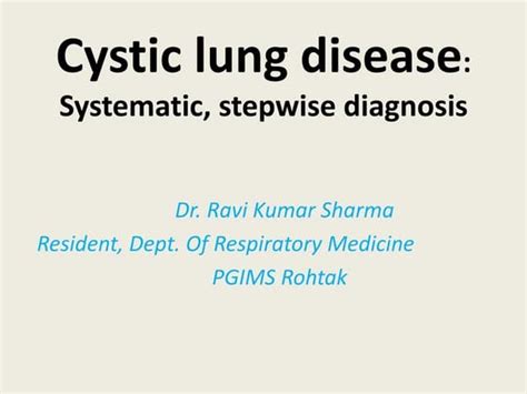 Anatomy And Physiology Of Lung Interstitium