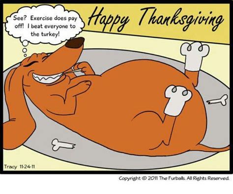 30 Ideas for Turkey Jokes Thanksgiving - Most Popular Ideas of All Time