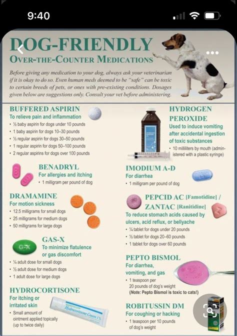 What You Need To Keep Your Pet Safe Meds For Dogs Dog Medicine