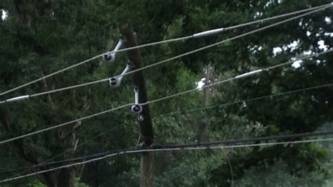 Downed Tree Takes Out Raleigh Power Lines Abc11 Raleigh Durham