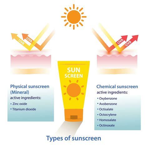 tipos de protector solar vector en blanco antecedentes. comparación de