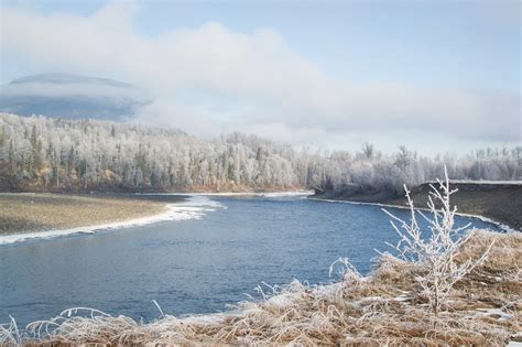 skeena river valley eyes   wild