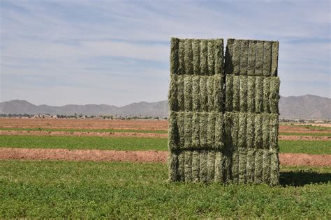 Hay Quality Mid West Farm Report