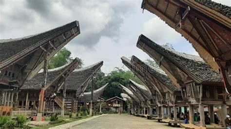 Traditional House of Toraja Land Stock Photo - Image of tana, tanatoraja: 202165236