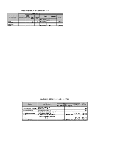 Modelo De Presupuesto Pdf Informática