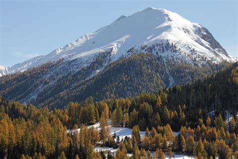 Berg Mountain In Den Alpen Alps Im Engadin O Flickr